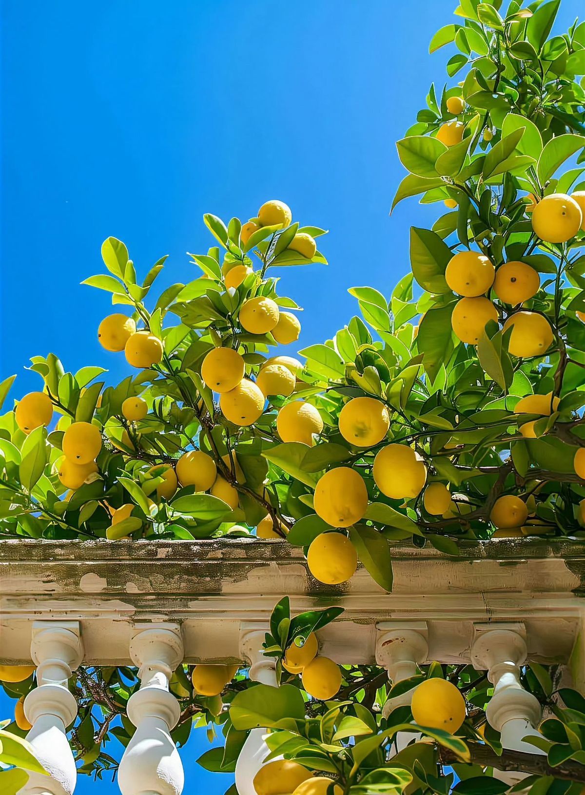 Will Vitamin C makes Change on my Face?